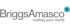 BriggsAmasco logo
